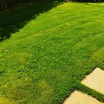 Casa Luca Ai Borghi Di 度假居 维拉西米乌斯